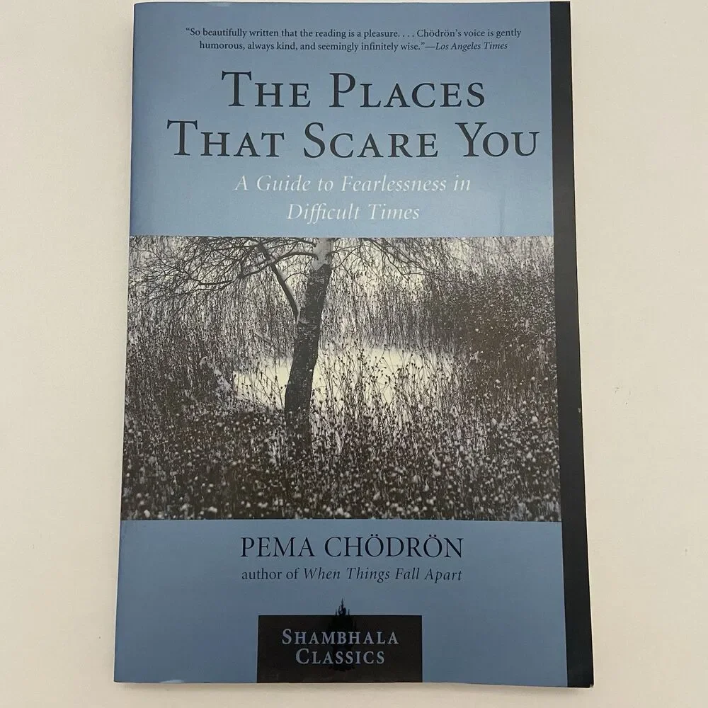 Places That Scare You By Pema Chödrön (2002, Trade Paperback)